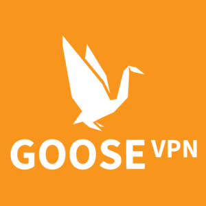 Goose VPN Premium Account [LIFETIME]